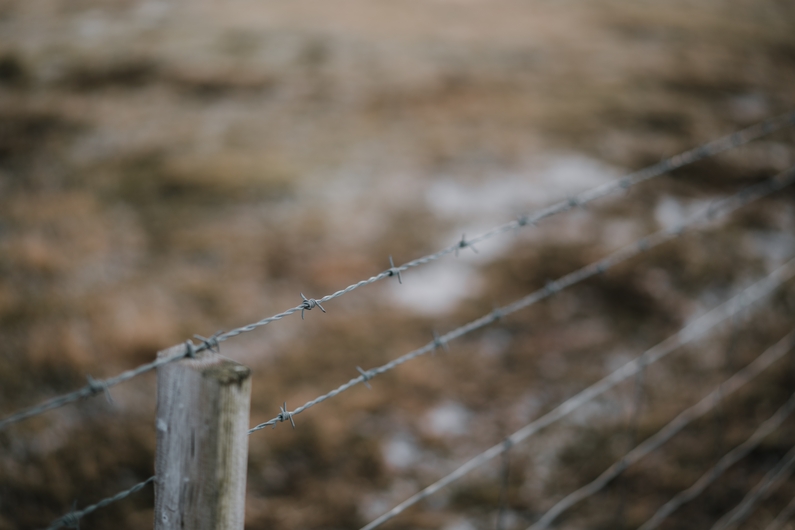 Fence in the winter