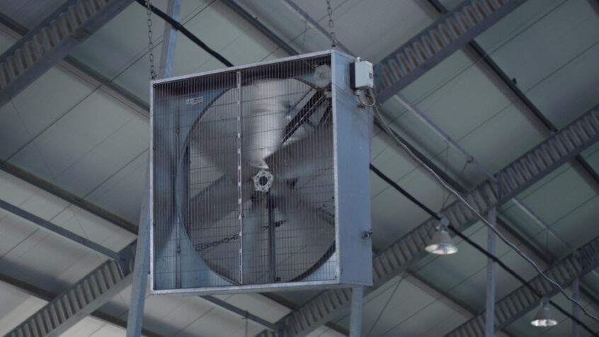 Industrial fan controlling temperature in modern agro cowshed close up.